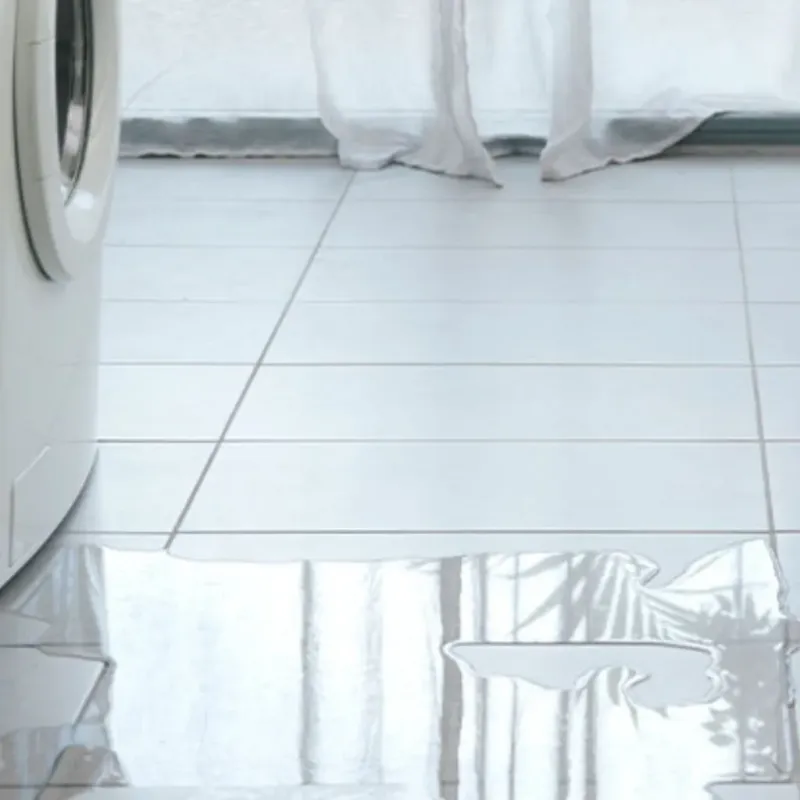 Appliance Leak Cleanup in Powdersville, SC