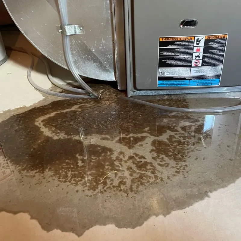 Pipe Burst and Leak Restoration in Powdersville, SC