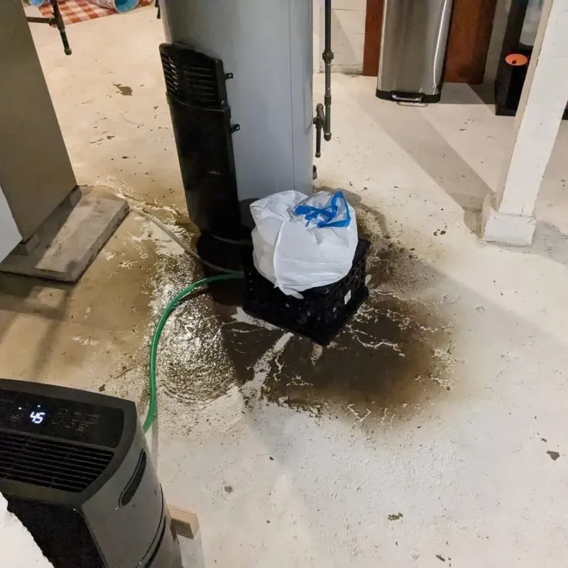 Sewage Backup Cleanup Service in Powdersville, SC